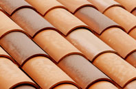 Maes Y Dre clay roofing