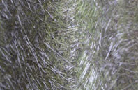 Maes Y Dre fibreglass roof work